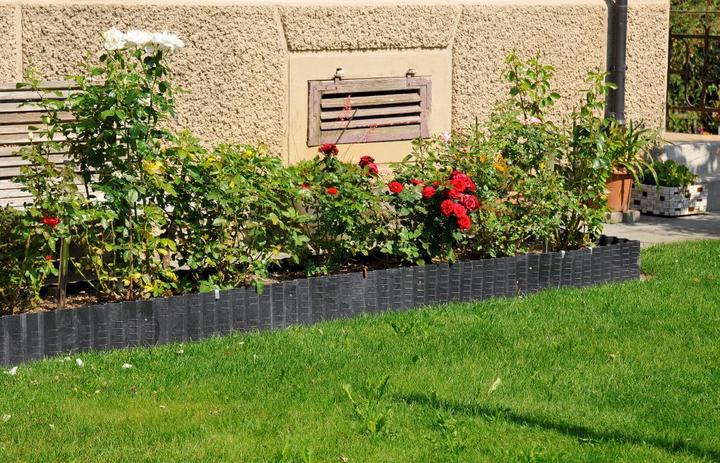 Actual product image Colibri Lawn border (83 cm)