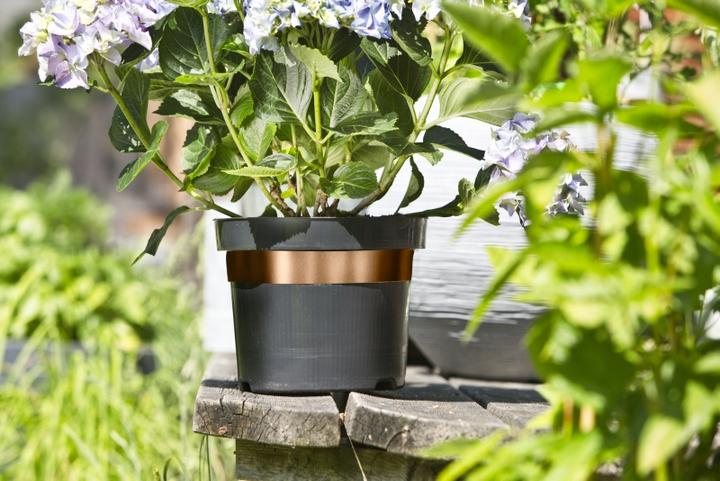 Image du produit Windhager Bandeau défensif