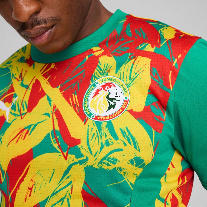 Produktbild Puma voranstosstrikot sénéga 2024 (L)