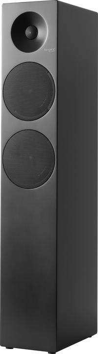 Image du produit Tangent Spectrum II X6 Floor Speaker Pair, black (100 W)