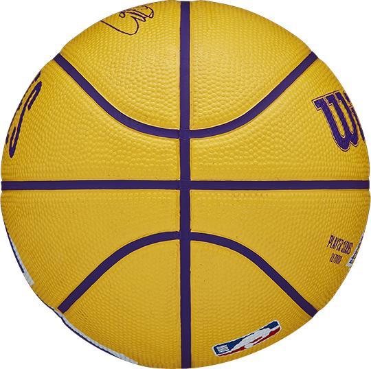 Produktbild Wilson Nba Player Icon Mini Bskt Lebron (3)