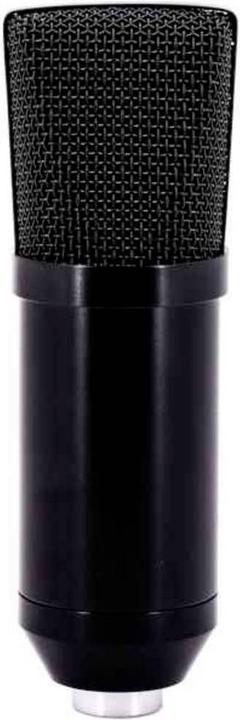 Actual product image CAD Voice Microphone U29 USB Mic