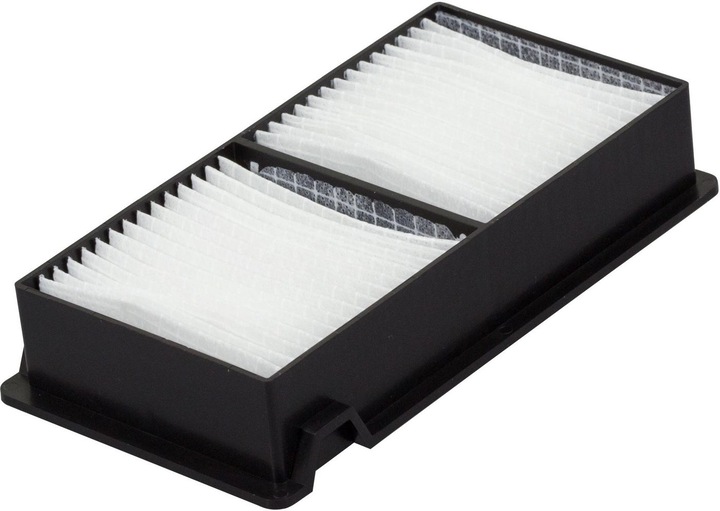 Actual product image Epson Elpaf39 (Filter)