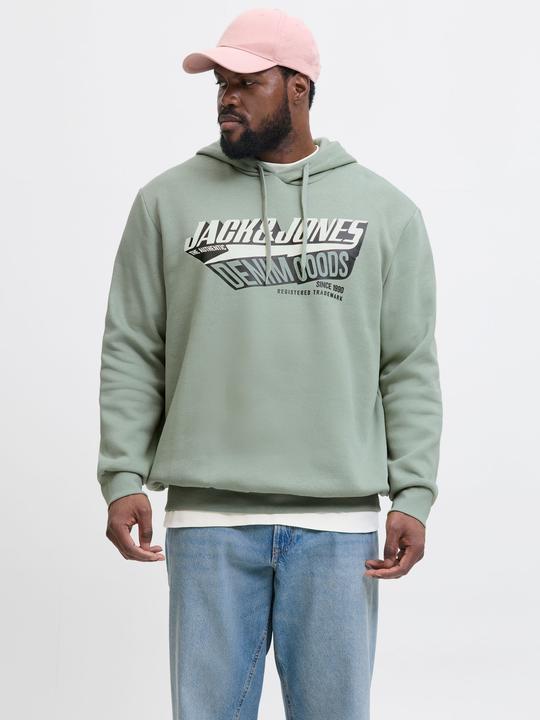 Actual product image Jack & Jones JJELOGO SWEAT HOOD 2 COL 24/25 NOOS PLS (3XL)