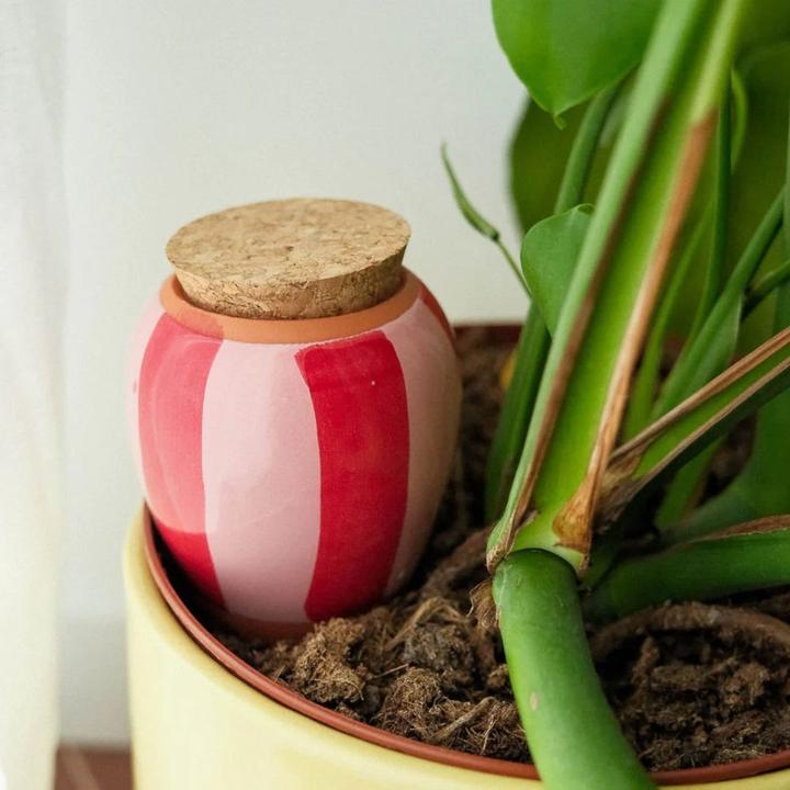 Image du produit Pepin Olla Selbstbewässerungssystem (Cône d'argile)