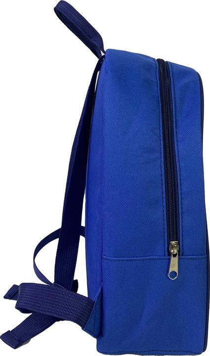 Actual product image La Plume Dorée Sonic the Hedgehog - Sonic
