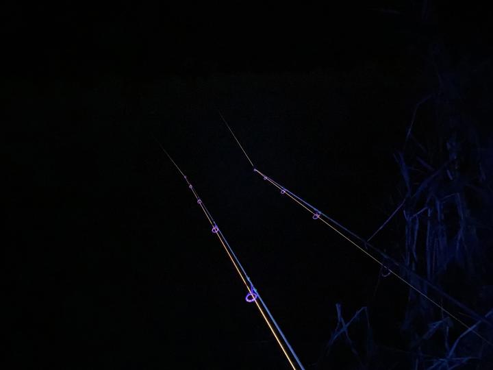 Produktbild Vipex Uv-Blacklight