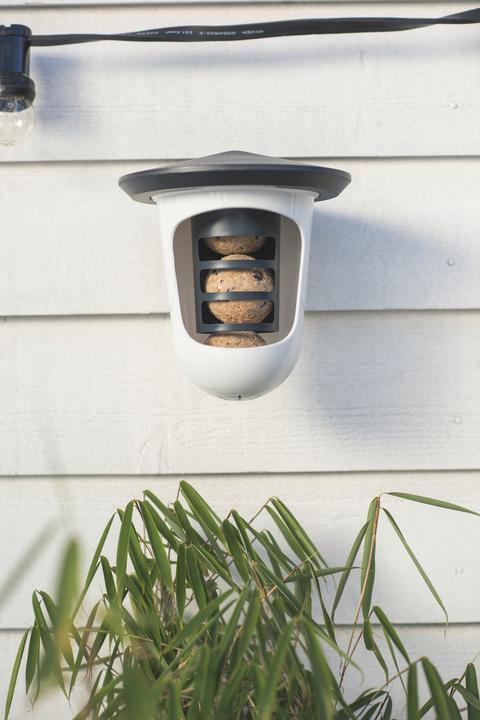 Image du produit SingingFriend Mangeoire pour oiseaux Multi