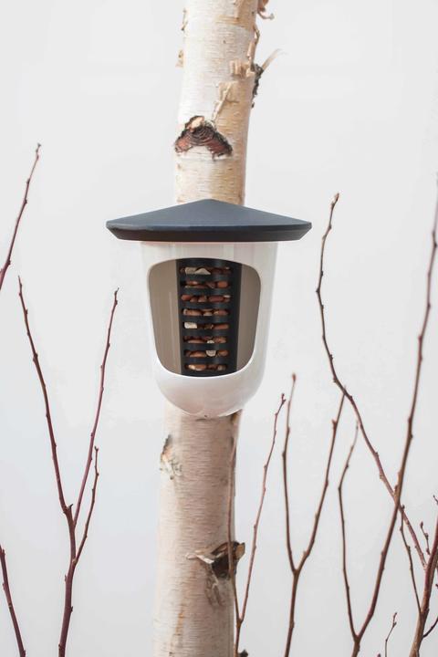 Image du produit SingingFriend Mangeoire pour oiseaux Multi