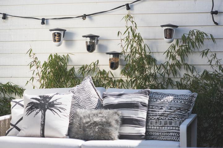 Image du produit SingingFriend Mangeoire pour oiseaux Multi