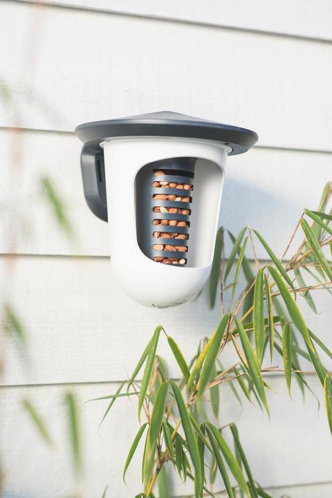 Image du produit SingingFriend Mangeoire pour oiseaux Multi