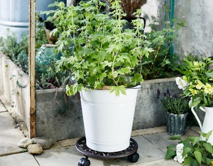 Image du produit Wagner System Antique
