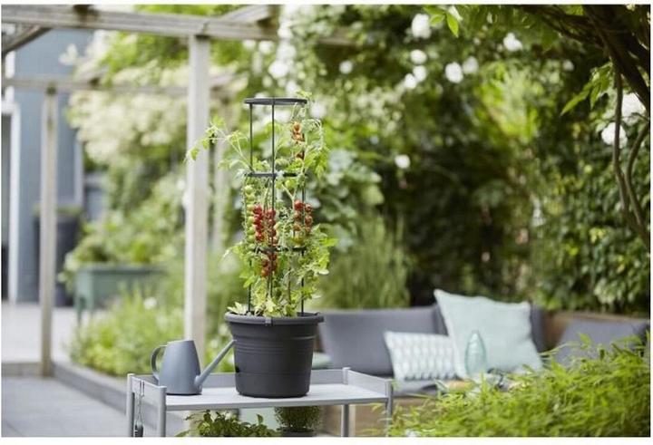 Actual product image Elho Green Basics Tomato Pots (33.50 cm)