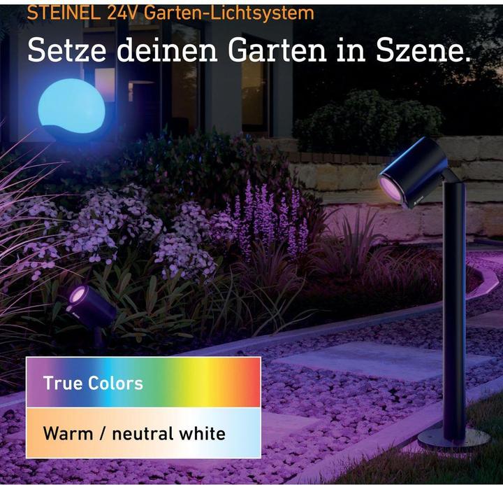 Image du produit Steinel Kreuzverbinder