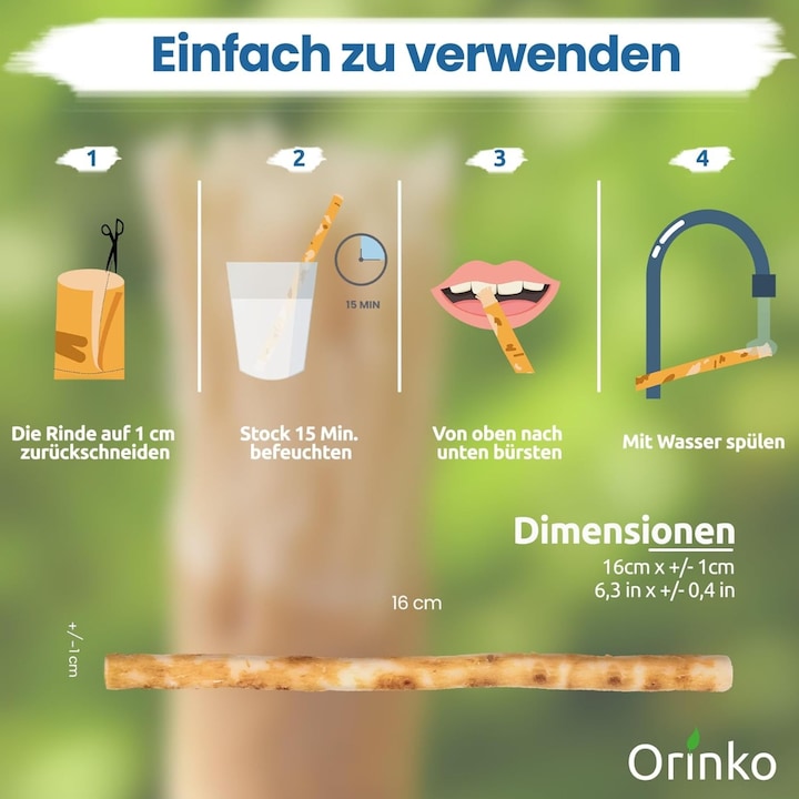 Image du produit Orinko Brosse à dents naturelle Miswak (6 x)