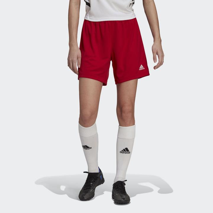 Image du produit adidas Short Entrada 22 Femmes (S)