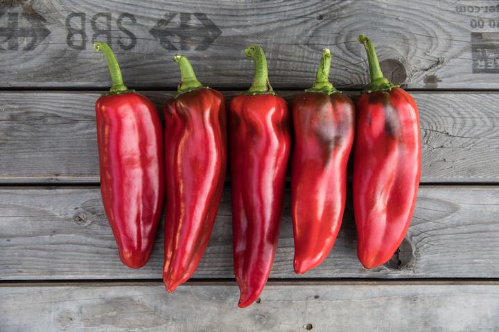 Immagine prodotto Zollinger Bio Peperoni, Corno di toro rosso