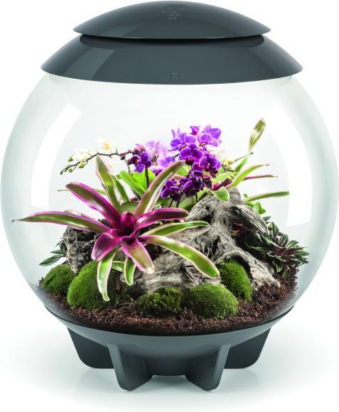 Oase biOrb AIR 60 grau