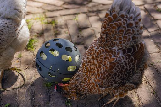 Actual product image Beeztees Chicken Snack Ball