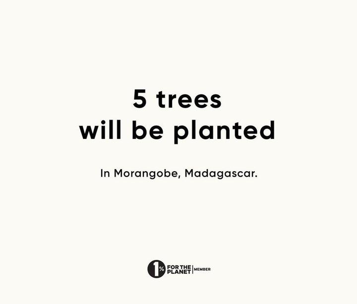 Image du produit Urth 39mm Capsules de filtre magnétique pour objectif (39 mm)