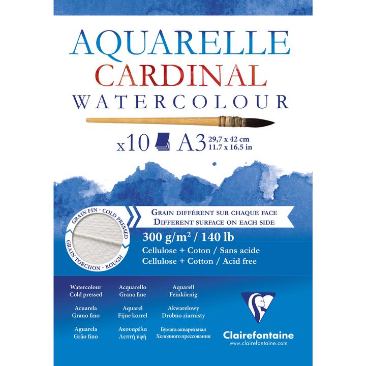 Image du produit Clairefontaine Techniques humides (300 g/m², 120 x)