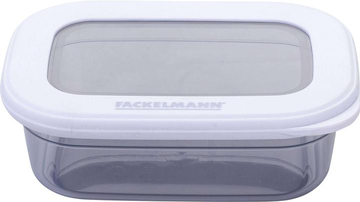 Actual product image Fackelmann Vorratsbehälter be the move 0.4 l, Hellgrau (0.40 l)