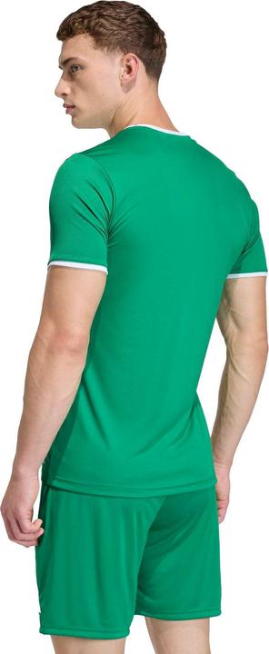 Actual product image Adidas Entrada T-Shirt (M)
