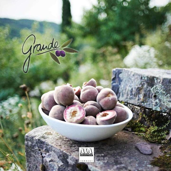 Produktbild ASA Selection A Table (15.50 cm, 1x)