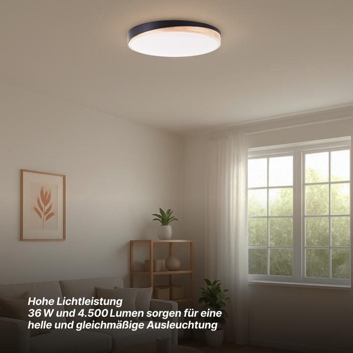 Produktbild Brilliant G80846/Baarlo LED-Deckenleuchte LED fest eingebaut W Schwarz matt (4500 lm)
