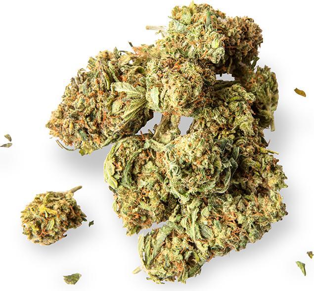 Produktbild Sweed Lemon (10 g, Indoor)