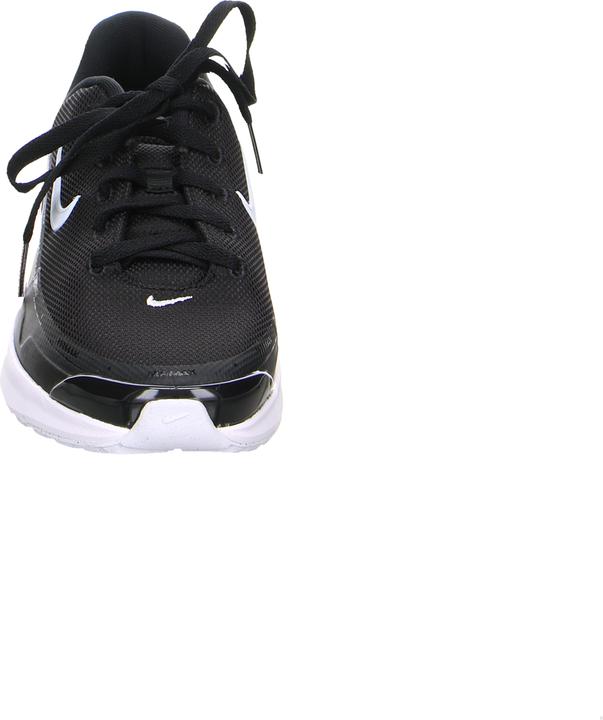 Image du produit Nike Air Max Bia (45)