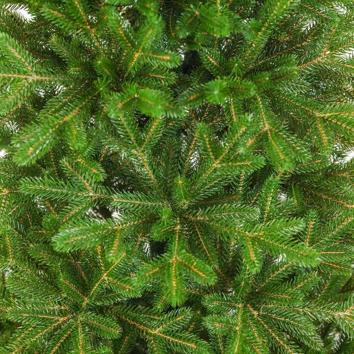 Actual product image Eve Xmas Naturgetreuer Weihnachtsbaum (185 cm)