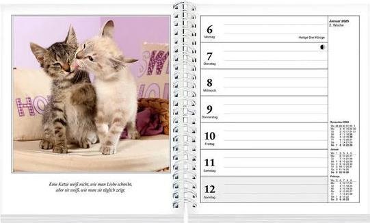 Image du produit Schmusekatzen Fotokalender 2025 (17 x 20 cm)