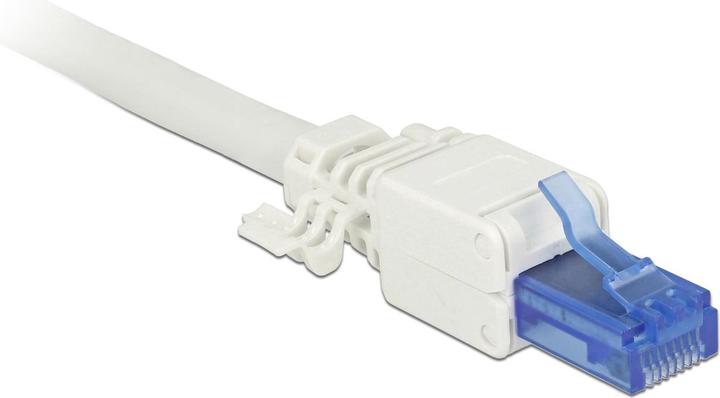 Actual product image Delock RJ45 plug, UTP, Cat.6A, 2 pieces (Network cable plug)