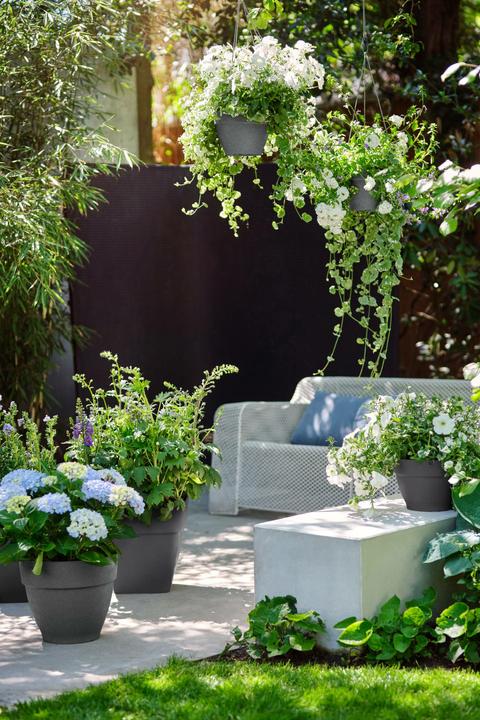 Produktbild Elho Blumentopf (30 x 28.80 x 28.80 cm)