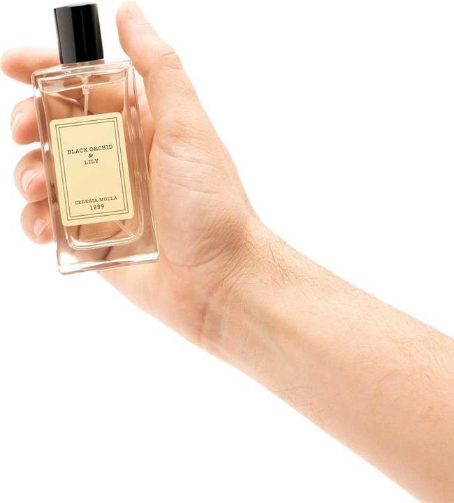 Image du produit Cereria Molla Désodorisant - Pack de 1 (100 ml)