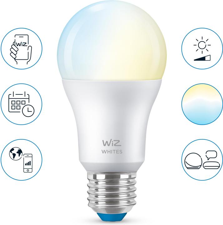 Image du produit WiZ Blanc (E27, 8 W, 806 lm, 1 x, F)