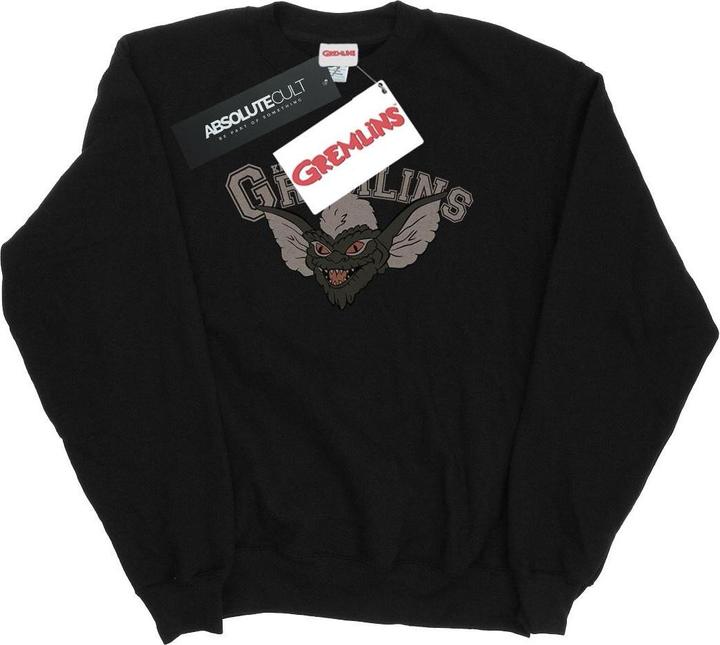 Image du produit Universal Textiles - Sweat KINGSTON FALLS SPORT - Homme (XL)