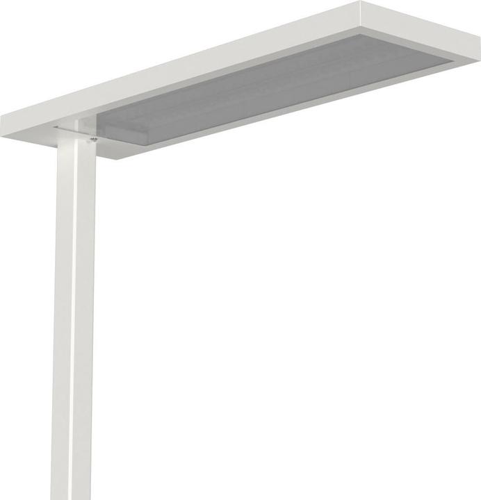 Produktbild Wellcraft LED-Stehlampe (3000 lm)