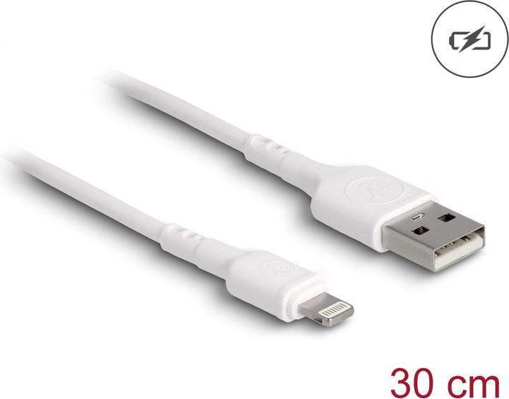 Delock USB A – Lightning (0.30 m, USB 2.0)