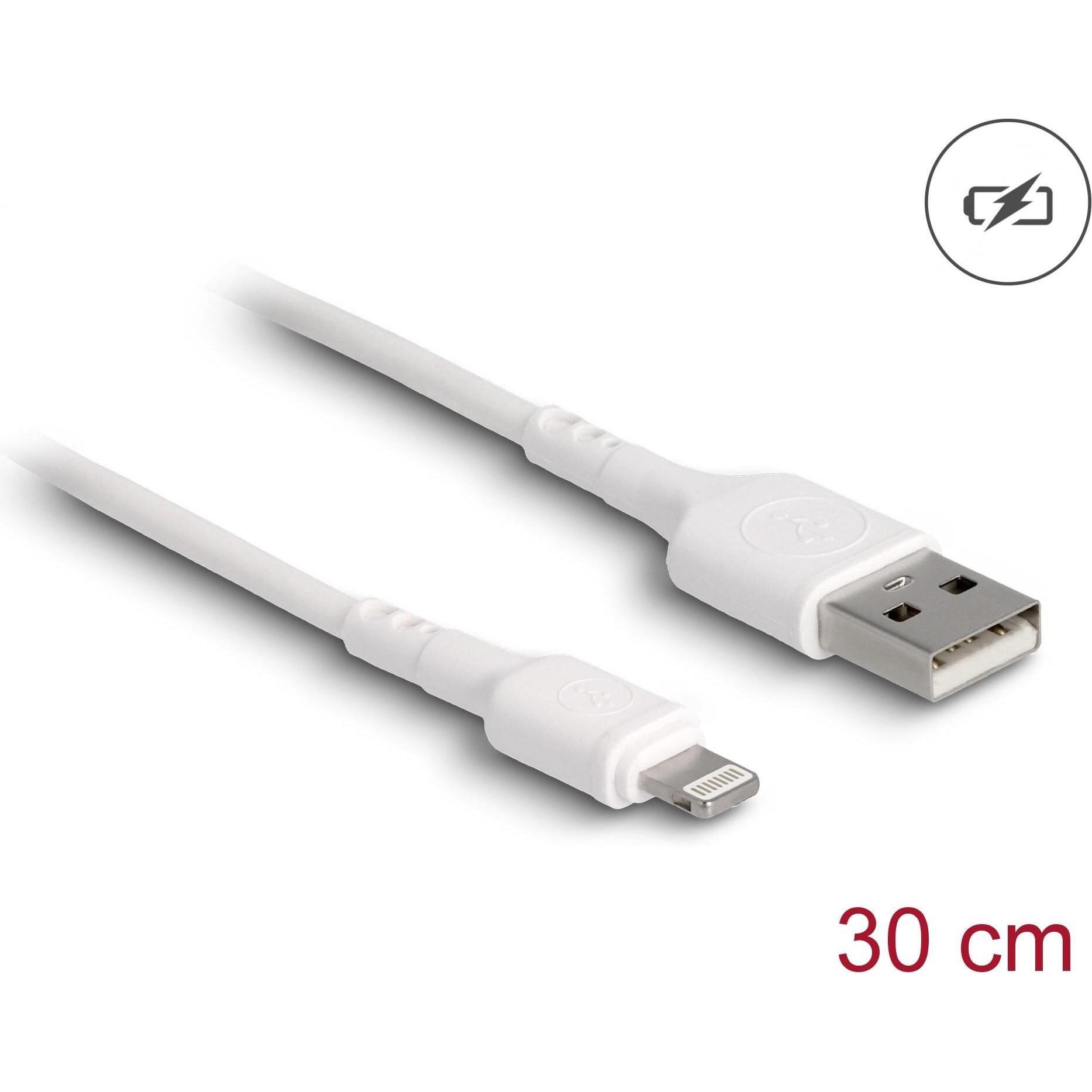Delock USB A – Lightning (0.30 m, USB 2.0), USB Kabel