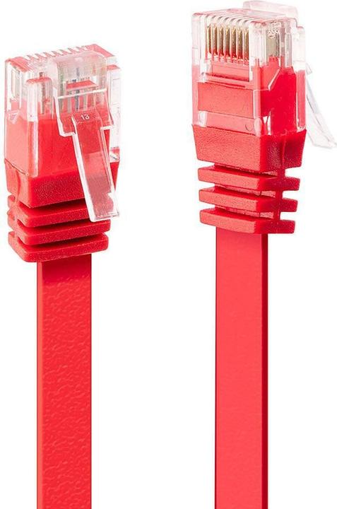 Lindy Cavo di rete (UTP, CAT6, 1 m)