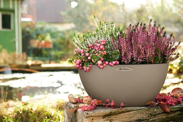 Produktbild Lechuza Cubeto 40 (40 x 18.30 cm)