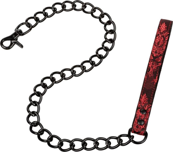 Actual product image CalExotics Scandal Collar with Leash