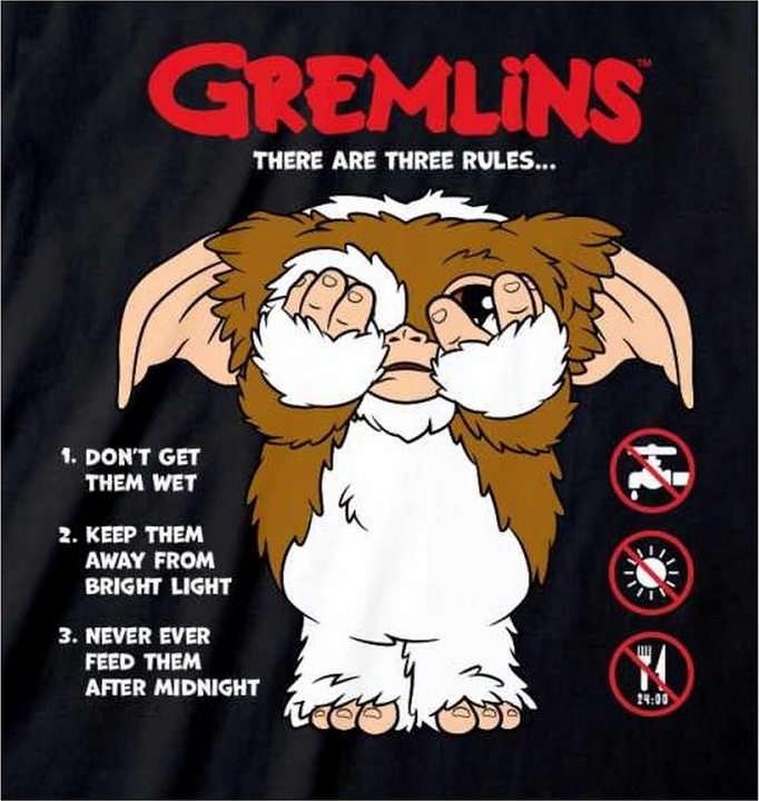 Produktbild Gremlins The Rules TShirt (XXL)