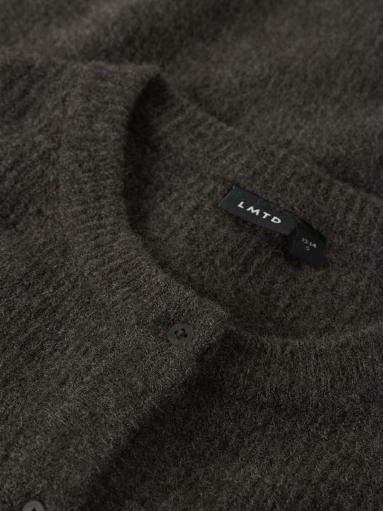 Produktbild Lmtd Regular Fit Strickjacke (170, 176)