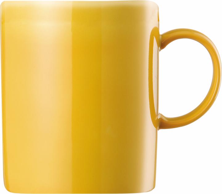 Actual product image Thomas 10850-408502-15505 (300 ml, 6x)