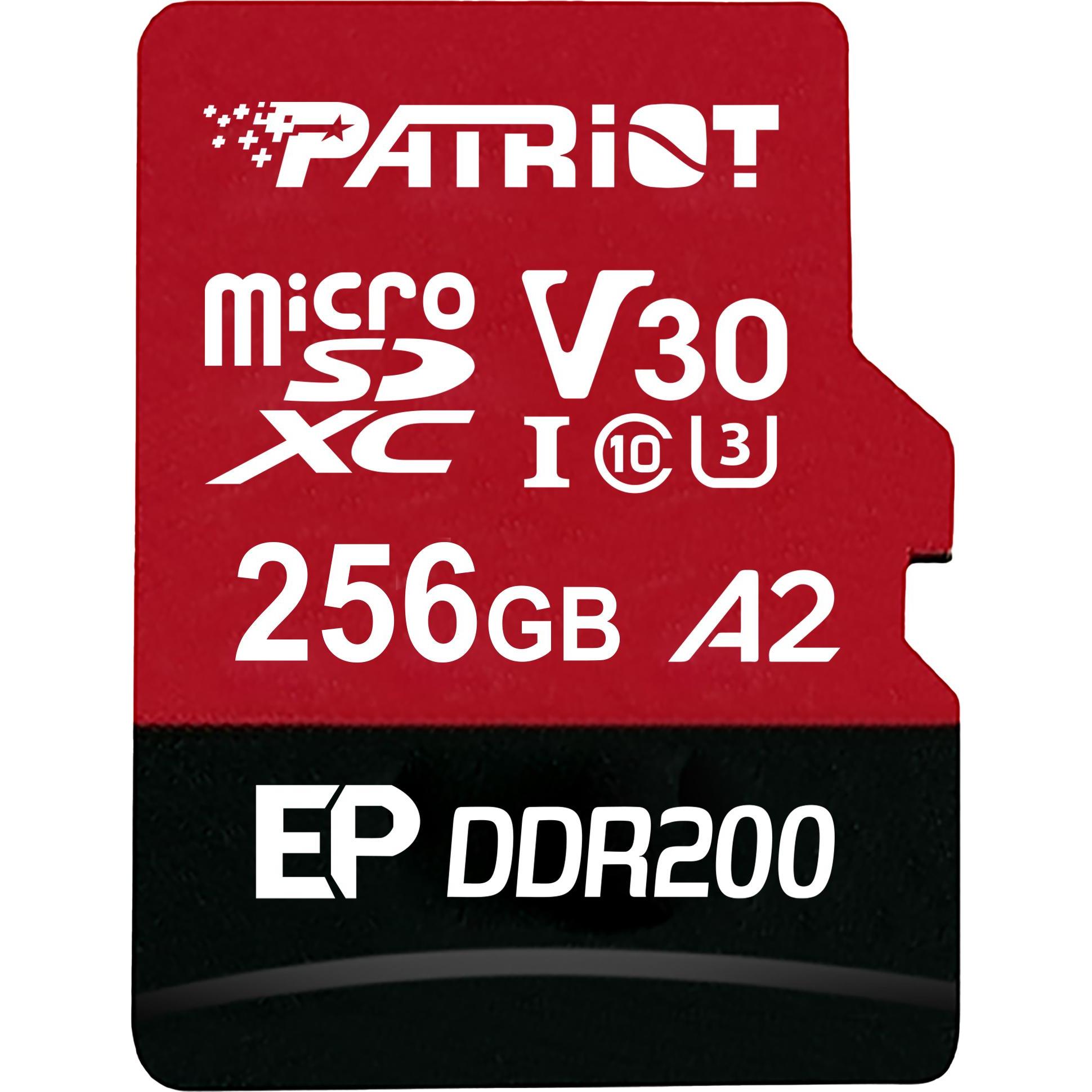 Patriot EP DDR200 + lettore/Micro SDXC/256GB/UHS-I U3 / Classe 10, Memoria RAM
