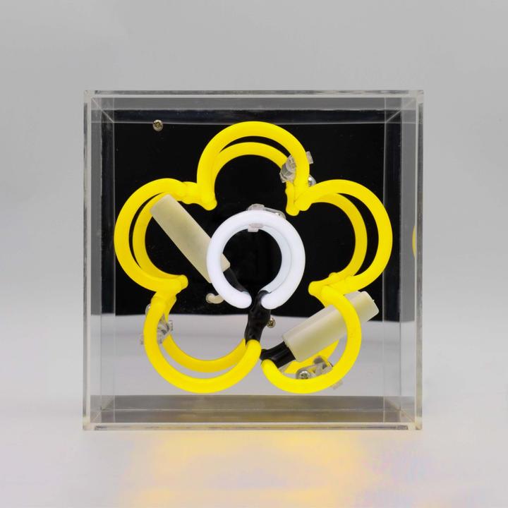 Actual product image Locomocean Mini Acrylic Box Neon - Margritli yellow