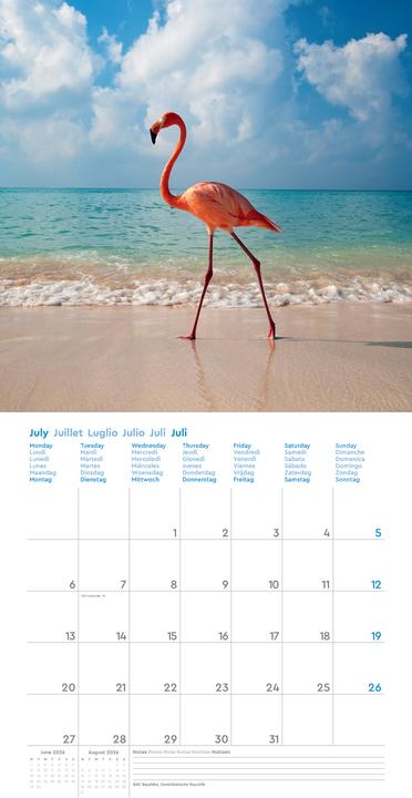 Produktbild Trauminseln - Broschurkalender 2026 (30 x 30 cm)